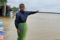 Người đàn ông bất lực nhìn cảnh 7 ha lúa bị nước nhấn chìm