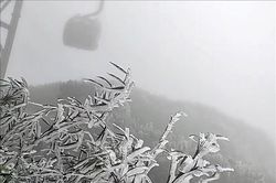 Băng giá phủ trắng đỉnh Fansipan