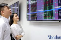 Chứng khoán xuyên qua vùng biến động