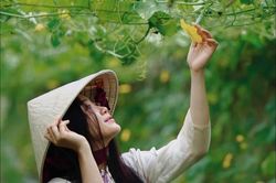 Học cách yêu đời