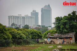 Nhếch nhác, lộn xộn nơi bãi giữa sông Hồng