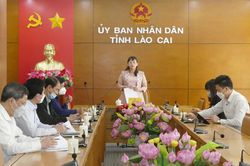 Triển khai phương án tiêm vắc xin phòng Covid-19 cho trẻ từ 5 – dưới 12 tuổi trên toàn tỉnh