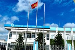 C.P. Việt Nam đề cử người vào HĐQT Sao Ta