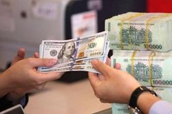 Tỷ giá trung tâm đi ngang, giá USD trong ngân hàng thương mại tăng