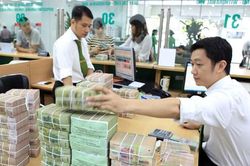 Thêm một công ty chứng khoán lên tiếng về vụ phát hành trái phiếu của Tân Hoàng Minh