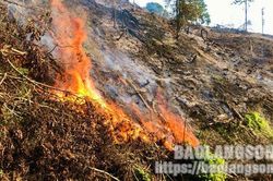 Bất cẩn làm cháy hơn 2 ha thực bì rừngTin khácThể lệ tổ chức Cuộc thi trắc nghiệm 'Tìm hiểu về tư tưởng, đạo đức, phong cách Hồ Chí Minh' năm 2022Chú trọng giáo dục đạo đức, lối sống cho học sinh