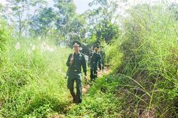 Xử lý 82 vụ vận chuyển hàng cấm, hàng lậu, gian lận thương mại trong 3 tháng đầu năm