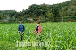 Những nữ bí thư chi bộ được dân tin