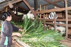 Vĩnh Phúc tiếp tục đầu tư nguồn lực thực hiện chương trình giảm nghèo bền vững