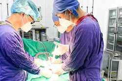 7 trường hợp phải cắt bỏ tinh hoàn