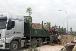 Xăng dầu tăng giá ảnh hưởng tiêu dùng, sản xuất