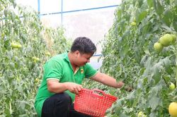 Chuyển đổi cơ cấu cây trồng trên vùng kinh tế mới