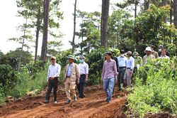 Chủ tịch UBND tỉnh Lâm Đồng Trần Văn Hiệp: Kiên quyết thu hồi các dự án giao đất, giao rừng không hiệu quả