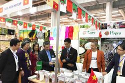 Hội chợ quốc tế Alger 2022 - Cơ hội xúc tiến các mặt hàng xuất nhập khẩu