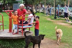 Hà Nội phấn đấu quản lý được trên 90% số hộ nuôi chó, mèo