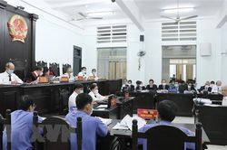 Xét xử vụ vi phạm đất đai ở Khánh Hòa: Viện Kiểm sát đề nghị mức án