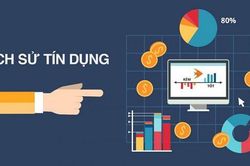Độ phủ thông tin tín dụng Việt Nam đạt trên 48,6 triệu chủ thể, chiếm hơn 60% người trưởng thành