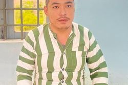 Bắt băng nhóm được nữ Việt kiều thuê 5.000 USD để đâm chủ quán