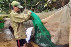 Phát triển hợp tác xã gắn với chuỗi giá trị sản phẩm