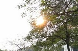 Dự báo thời tiết đêm nay và ngày mai (9-10/4): Bắc Bộ, Bắc Trung Bộ đêm và sáng sớm trời lạnh; phía Nam chiều tối mưa dông; Đông Nam Bộ nắng nóng