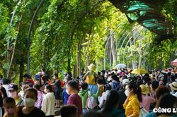 Người dân chen nhau đưa con em tham quan Thảo Cầm Viên dịp lễ Giỗ Tổ