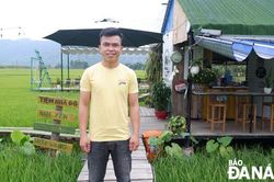 Về quê lập nghiệp