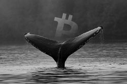 Nhiều ví Bitcoin lớn hoạt động trở lại sau hơn 12 năm