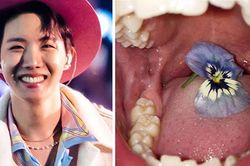 Fan bối rối khi thấy ảnh J-Hope BTS cập nhật trên Instagram Story
