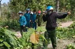 Nhân viên bảo vệ rừng bị dọa 'giết cả nhà'