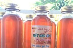 Tin vui ngành Ong: Thuế giảm mạnh, 'cửa' vào thị trường Mỹ vẫn rộng