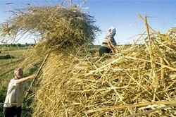 Từng quốc gia châu Á được mất thế nào từ cuộc chiến Nga – Ukraine?