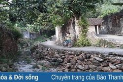 Nét đẹp thôn Phượng Lĩnh