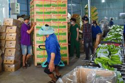 HTX Laba Banana Đạ K'Nàng được xét chọn Top 50 Thương hiệu mạnh Asean