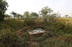 Uất nghẹn vì chung sống 5 năm nhà chồng vẫn không cho xây toilet