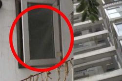 Con trai 5 tuổi thường nói nhìn thấy người đàn ông ở tòa đối diện, mẹ tìm hiểu phát hiện sự thật đau lòng