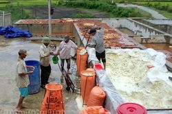 Xử lý nghiêm các vi phạm về môi trường