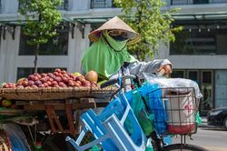 Hà Nội lắp máy tự động bán hoa quả để thay thế hàng rong