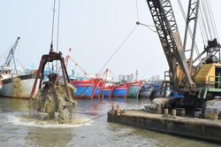 Đà Nẵng: Thí điểm nạo vét tại Âu thuyền Thọ Quang để nhận chìm ngoài biển
