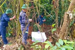 Tìm thấy 1 hài cốt liệt sĩ ở vườn nhà dân nơi vùng núi Quảng Trị