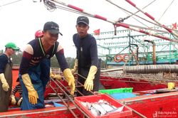 Du lịch mới bắt đầu vào mùa, thương lái đã phải 'săn' hải sản tận bến