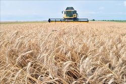 Liên hợp quốc cảnh báo các nước nghèo rơi vào khủng hoảng do xung đột ở Ukraine