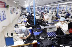 Để thị trường lao động phục hồi nhanh và bền vững