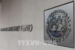 IMF ra quyết định lịch sử giúp các nước ứng phó với những thách thức dài hạn