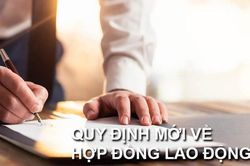 Đề xuất mới về các trường hợp ký hợp đồng lao động trong cơ quan hành chính