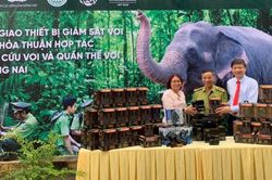 Nỗ lực bảo vệ đàn voi ở Đồng Nai