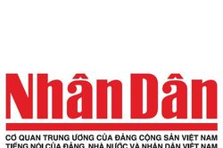 Sử dụng dầu ăn đúng cách