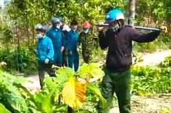 Tổng cục Lâm nghiệp vào cuộc vụ nhân viên bảo vệ rừng bị hành hung ở Gia Lai