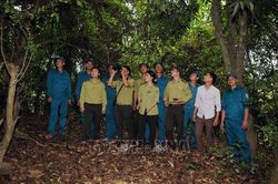 Huyện Phù Yên (Sơn La) chủ động quản lý, bảo vệ, phòng cháy, chữa cháy rừng