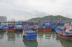 Quy hoạch cảng cá: Không chỉ là nơi 'cá lên bờ', cần hướng tới phát triển du lịch