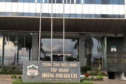 Công ty Cổ phần gia súc Lơ Pang liên tục bị xử phạt vi phạm hành chính